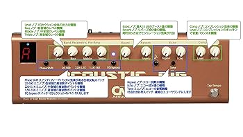 Amazon | Carl Martin ACOUSTIC GIG アコギ用マルチエフェクト